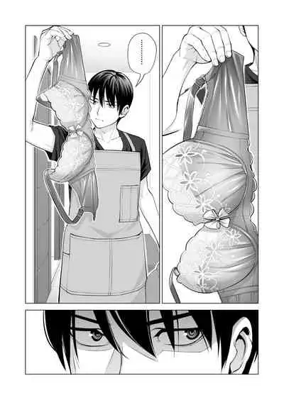 ヌレアネ ～バツイチの姉とSEXをした夏の夜～