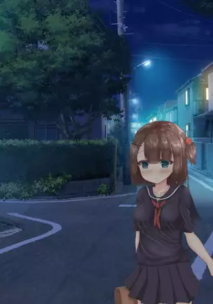 Yukai shita shojo ga hentai doemudattanode harama sete mita