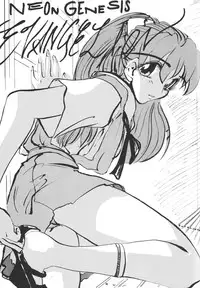 (C51) [Chimatsuriya Honpo (Various)] FSB (Neon Genesis Evangelion)