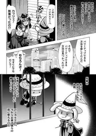 Mahou Shoujo ga Ochiru made - Until the Magical Girl Falls