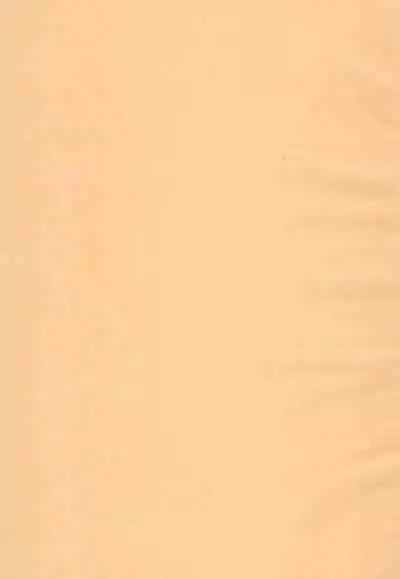 Together with Venti !