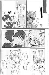 Peach Drop- Arco Iris