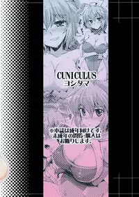 (C95) [CUNICULUS (Yositama)] Suki Suki Chris-chan (Senki Zesshou Symphogear)