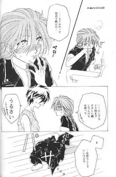 [Youkai Club (Hazuki Younosuke)] Amaryllis (Gundam Wing)