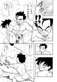 (C49) [Chirigami Goya, Fusuma Goten (Shouji Haruzo)] Z (Dragon Ball Z)