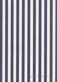 [SADISTIC MARY] Goodbye Honeymoon (Bleach)