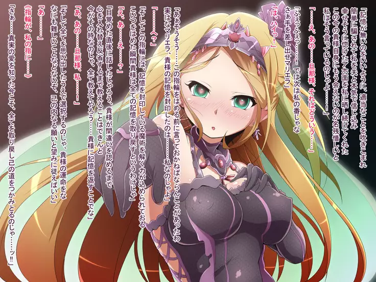 Hero Rengou Sennou Kanraku no Wana ~Battle Sister Hen~