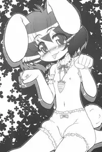 (Kouroumu 4) [CIRCLE ENERGY (Imaki Hitotose)] Touhou Pantsu (Touhou Project)