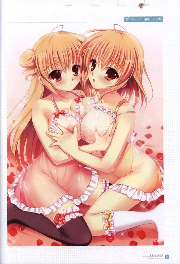 Manatsu no Yoru no Yukimonogatari -MIDSUMMER SNOW NIGHT- Visual Fanbook