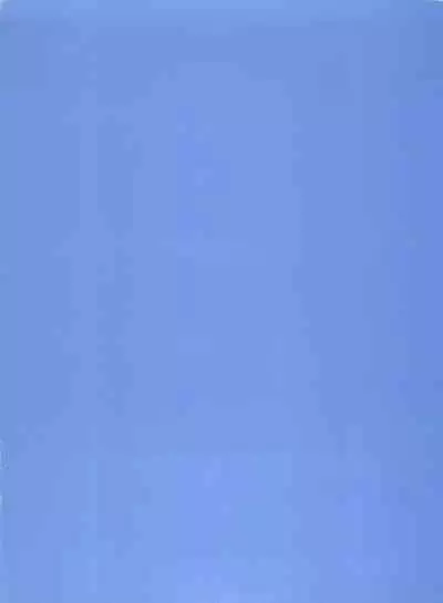 Shin Bishoujo Shoukougun 2 Mirai Hen