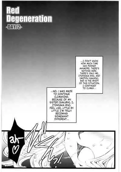 (SC34) [H.B (B-RIVER)] Red Degeneration -DAY/2- (Fate/stay night) [English] [RookieDreams]