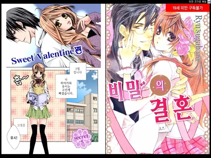 Naisho no Love Mariage | 비밀의 결혼