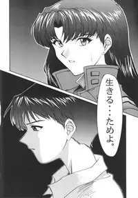 (C51) [Chimatsuriya Honpo (Various)] FSB (Neon Genesis Evangelion)