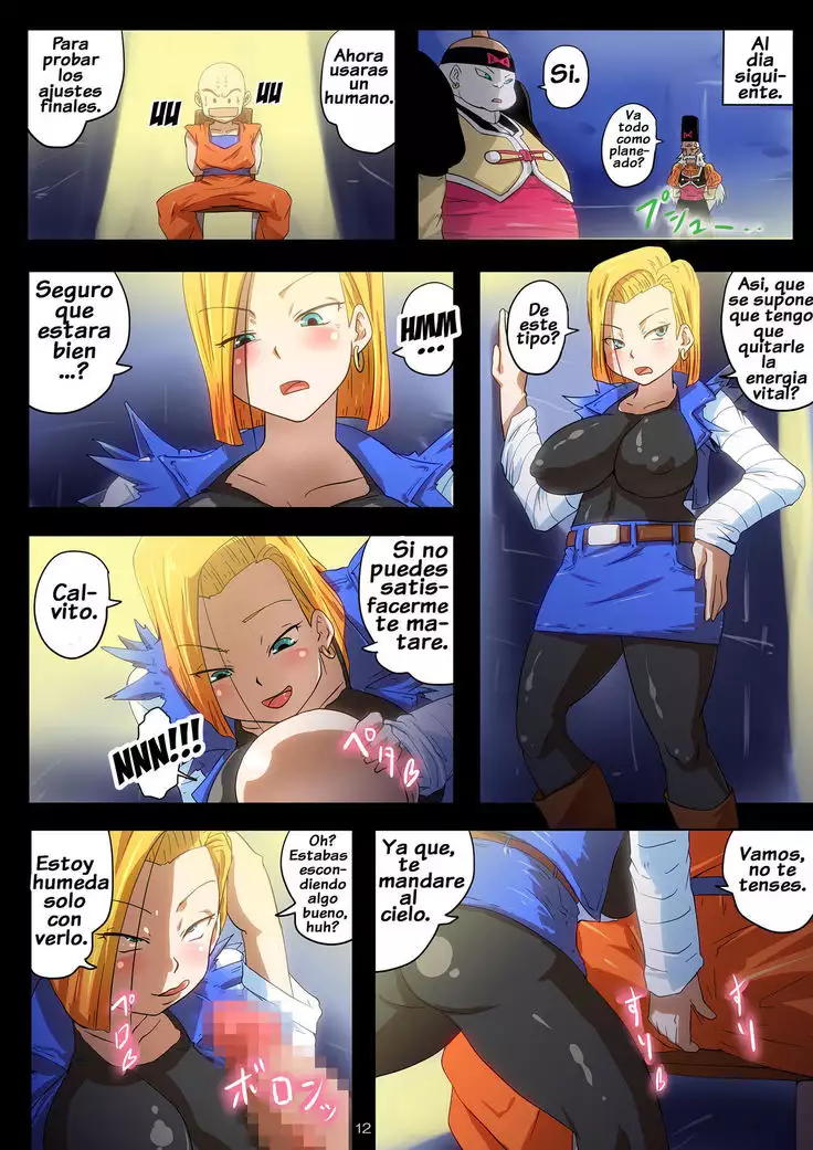 Homunculus 18-gou Seitai Energy Kyuushuu Tokkagata Sai Chousei Jikken Kiroku