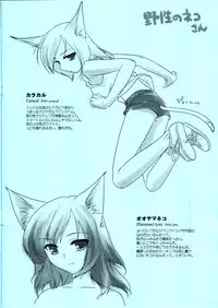 [FlavorGraphics* (Mizui Kaou)] [2003-03-16] - Feline Lovers