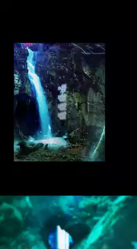 [Studio Gale] Lady Garden 淑女花苑 第二季 [Chinese]