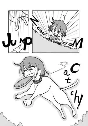 Henka-kei-bo TF Account book