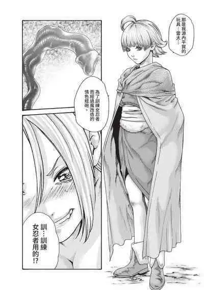 Araxa Ninpo-Cho Volume. 5 | 霰草忍法帖 5