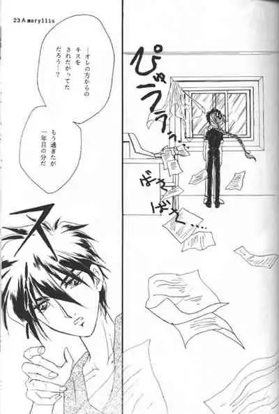 [Youkai Club (Hazuki Younosuke)] Amaryllis (Gundam Wing)