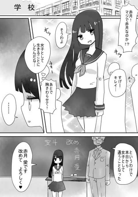 trans effect sex alice case: A