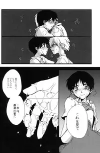 (C79) [offaria (Nao Hiren)] Junjou Finale (Neon Genesis Evangelion)