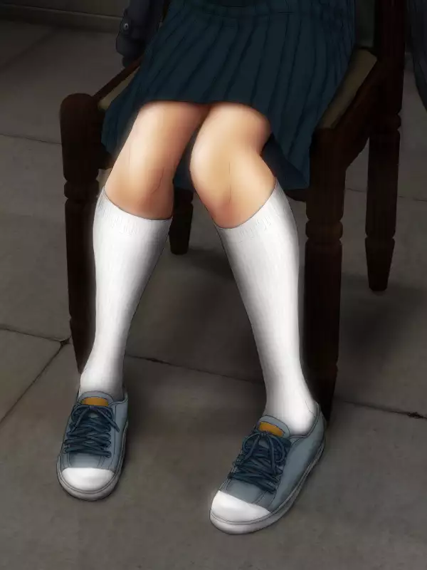 H.S.C. Illustration Collection Ex.4