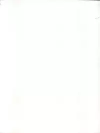 (C47) [MICA (Various)] ACTIVE PEACH FINAL