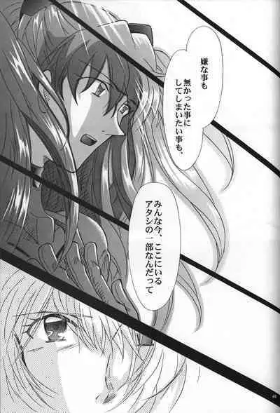 <Shinyaku> NEON GENESIS document R