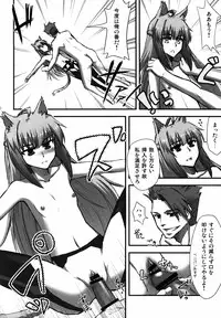 (C85) [Wiz's Studio (Hirono)] PARAPHILIA PLAY (Fate/Apocrypha)