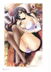 Walkure Romanze More & More Visual Fan Book