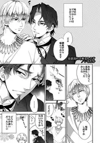 (Ou no Utsuwa 11) [Crazy9 (Ichitaka)] RE:Crazy9 (Fate/Zero)