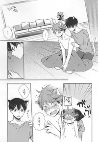 (RTS!!5) [Shounen-H (Yuuki)] Neko ni Natta Oikawa-san (Haikyuu!!)