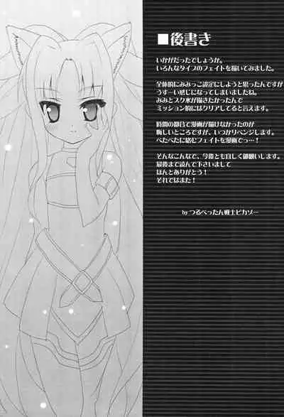 (Mimiket 19) [P-POINT (Pikazo)] FATE STRIKE (Mahou Shoujo Lyrical Nanoha)