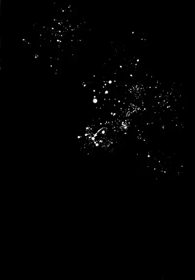 Ore to Keiyaku Shimasen ka?