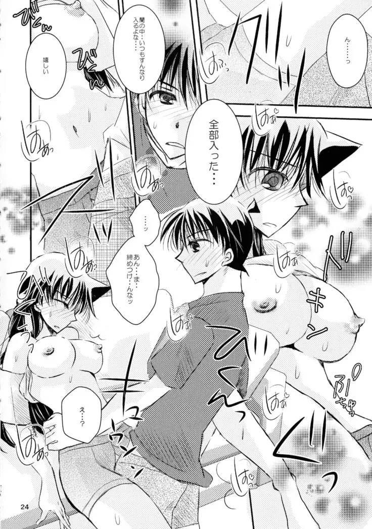 MACARON-CHOCOLAT-DOLCE