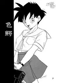 (C52) [Chirigami Goya, Fusuma Goten (Shouji Haruzo)] Irohani (Dragon Ball GT)