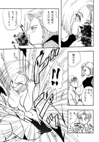 (C49) [Chirigami Goya, Fusuma Goten (Shouji Haruzo)] Z (Dragon Ball Z)