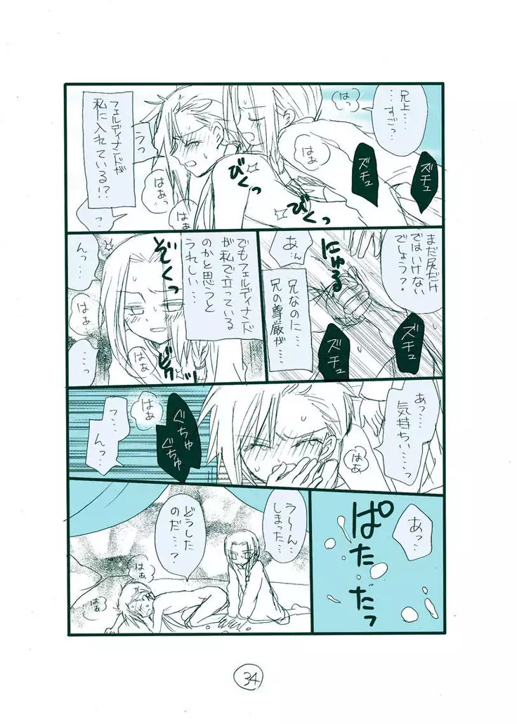 Dark Jimi na フェルジル no Mousou