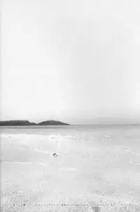 (C88) [Erdelied (Nenemaru)] Ajin Shoujo-tan Vol.6