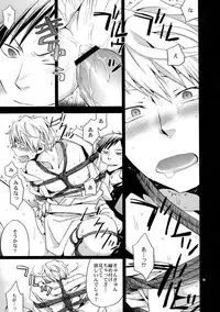 (C80) [Crazy9 (Ichitaka)] Sairoku (Durarara!!)