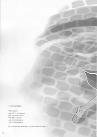 (C64) [Digital Lover (Nakajima Yuka)] D.L. action 18 (Ragnarok Online)