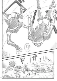 (C75) [Akatama (Sakurafubuki Nel)] Nekodora 1kan