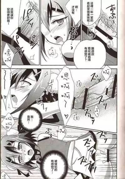 Hideyoshi Director's Cut