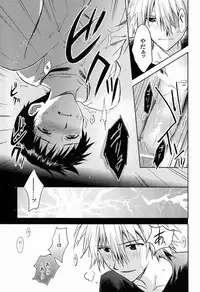 (C80) [Cassino (Magarikoji Lily)] LOCK'N' UP! (Neon Genesis Evangelion)