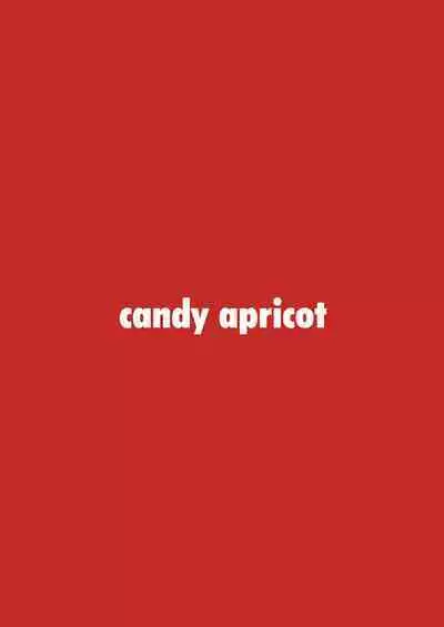 Ninpou! Josou Nekomimi Maid Mugen Tanetsuke no Jutsu!!