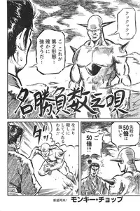 Action Pizazz HB 2013-10