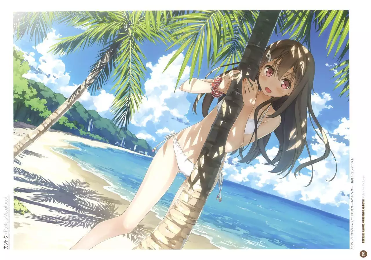 Kantoku Publicity Visual book