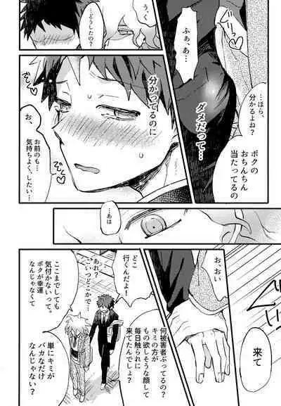 Komahi Sairoku Hon Star Peace