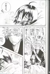 (C66) [PONCHEES (Kari) (Irohane Sui)] PIKA☆☆NCHI (Bleach)