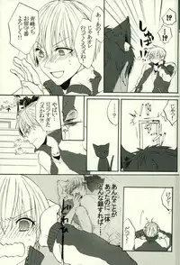 (HaruCC21) [Cutie★Complex (Hatsuka)] Neko no Kimochi 3 (Kuroko no Basuke)